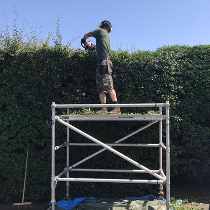 Tree Pruning Services Leicester, Coalville, Loughborough