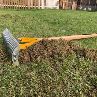 Lawn and Garden Care Leicester, Coalville, Loughborough