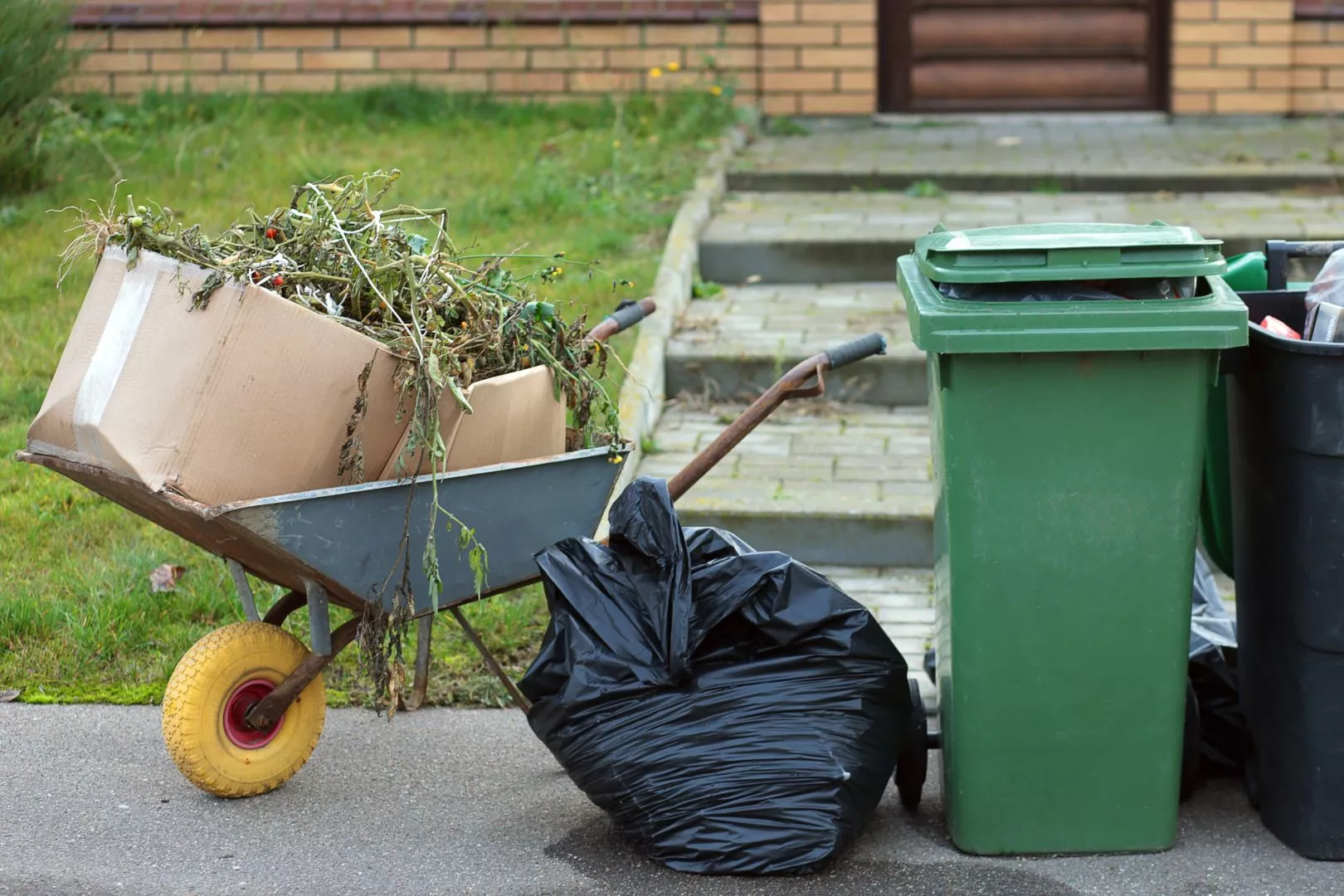 Garden Clearance and Waste Removal 